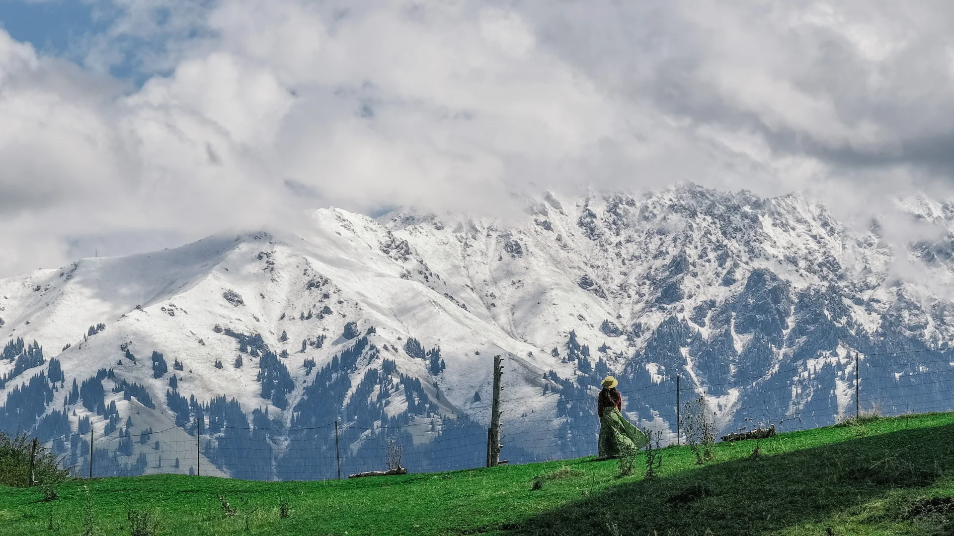 新疆｜孤身回望雪山🏔️