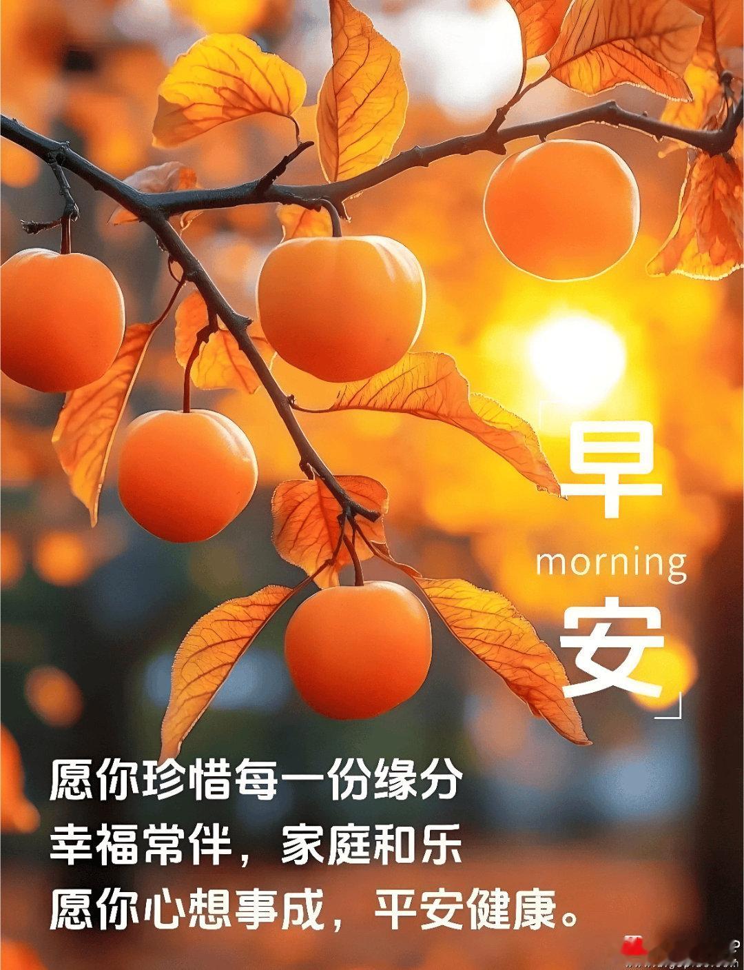 早盘思路备选（11.27）受到外围消息面的影响，昨天的市场表现是骗离了原来的剧本