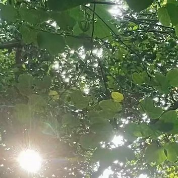 阳光信用 1200阳光信用 爱国，是人世间最深层、最持久的情感，是一个人立德之源
