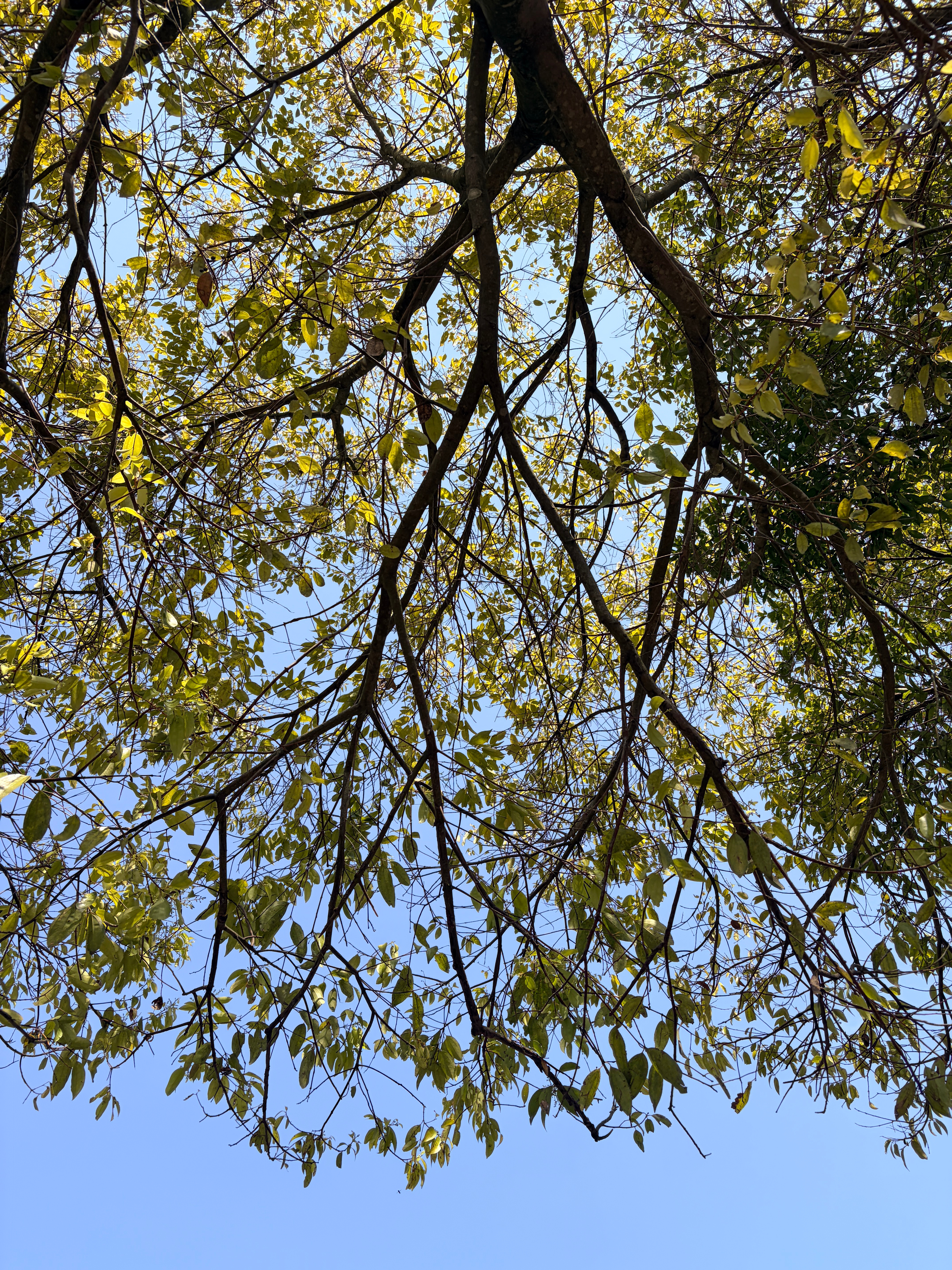 📍𝔂𝓾𝓷𝓯𝓮𝓷𝓰    “小时候看的是热闹，长大了看的是文化” 