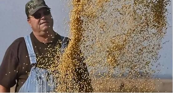 200万吨大豆烂港！巴西赌中国离不开它，却忘了中国早握3张王牌
 
麻烦看官老爷