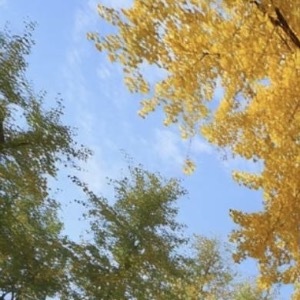 每一天都是新的篇章，用微笑迎接朝阳，用行动书写辉煌。不畏风雨，不惧挑战，积极向上