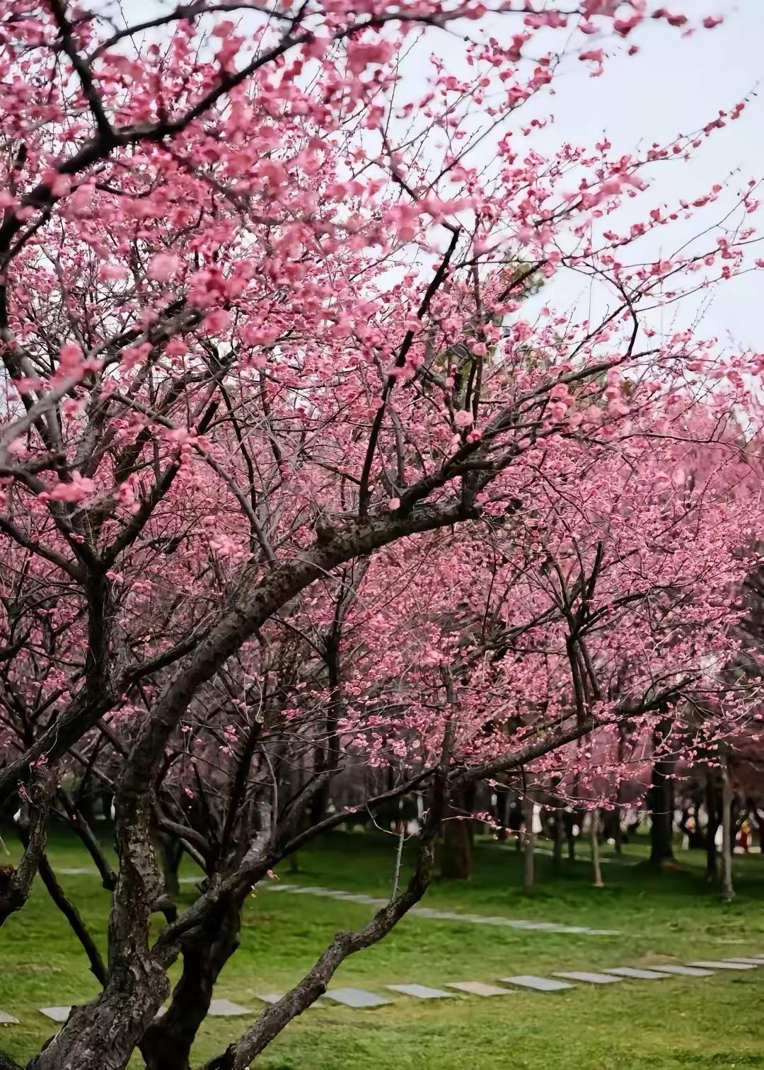 1991年，那年我18岁大哥20岁。
有一天在矿上上班的父亲争取到一个接班名额欢