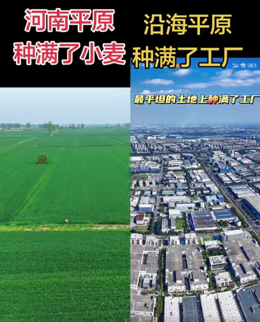 河南这片土地，真的太牛了！勤劳的河南人民在广袤的平原良田里挥洒汗水，默默为共和国