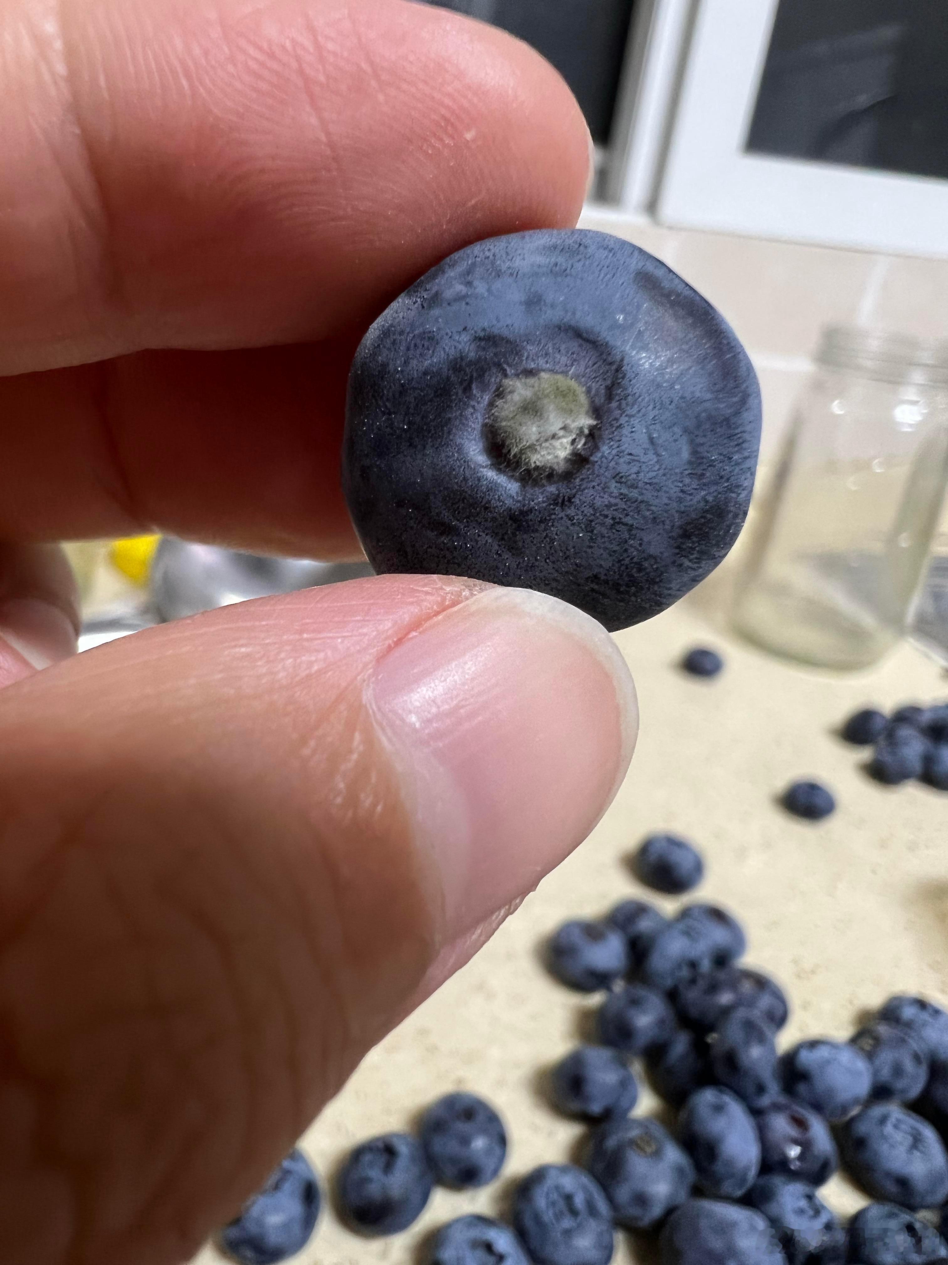 蓝莓肚脐眼里的霉菌蓝莓我一般都是用盐泡一会儿，会撒很多在上面，过几分钟再搓一下，