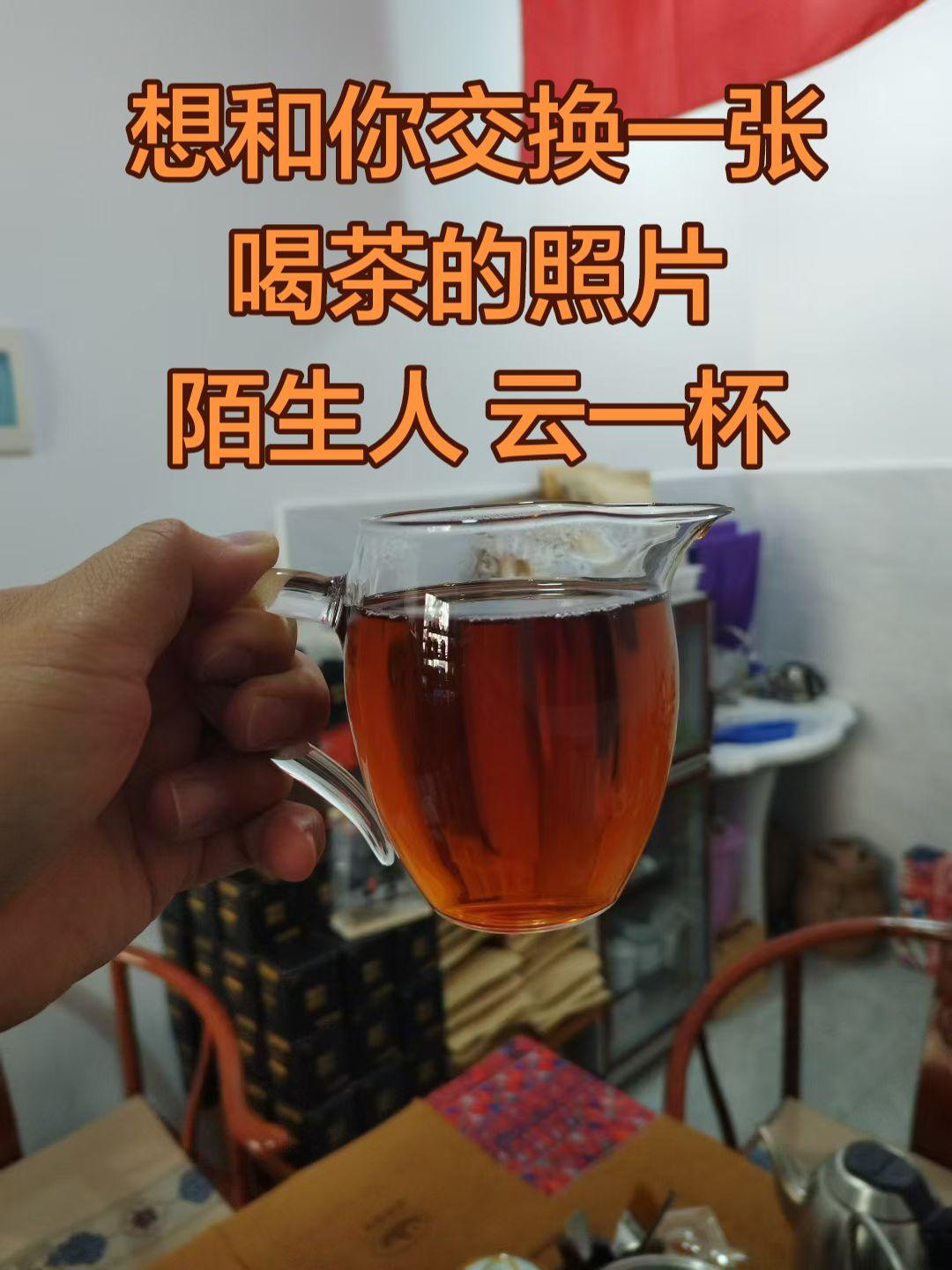 一张图证明你是喝茶人