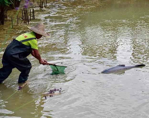 1962年，江苏溧阳，一男子在自家鱼塘干活时，突然从淤泥里捡到一个瓜子模样的东西