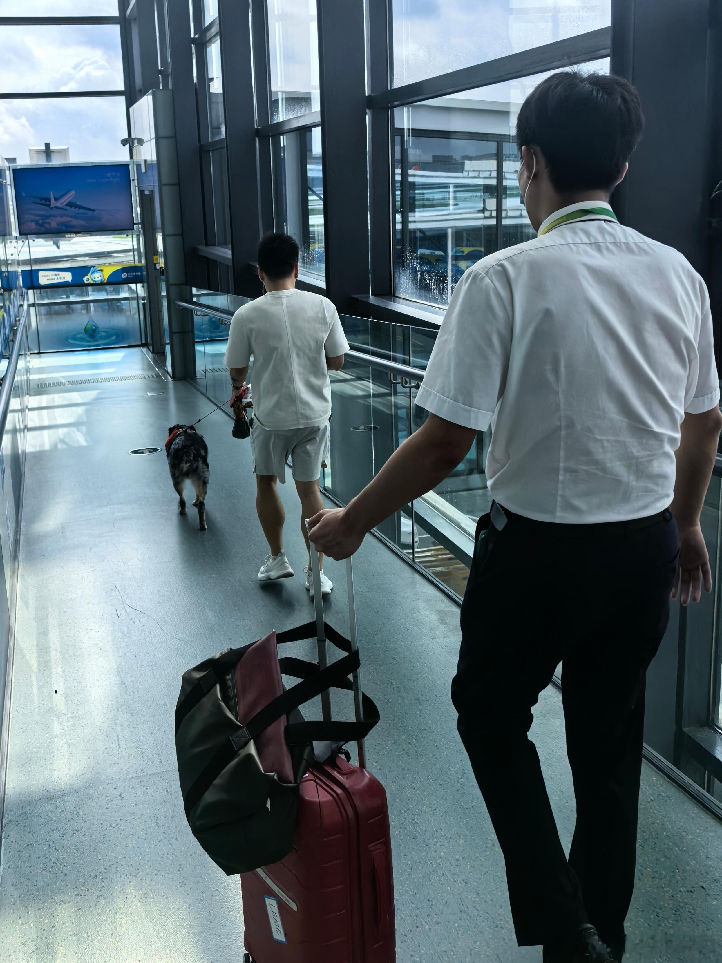 原来，这玩意也可以登机？登机后，把它放哪呢？ 上海·上海虹桥国际机场