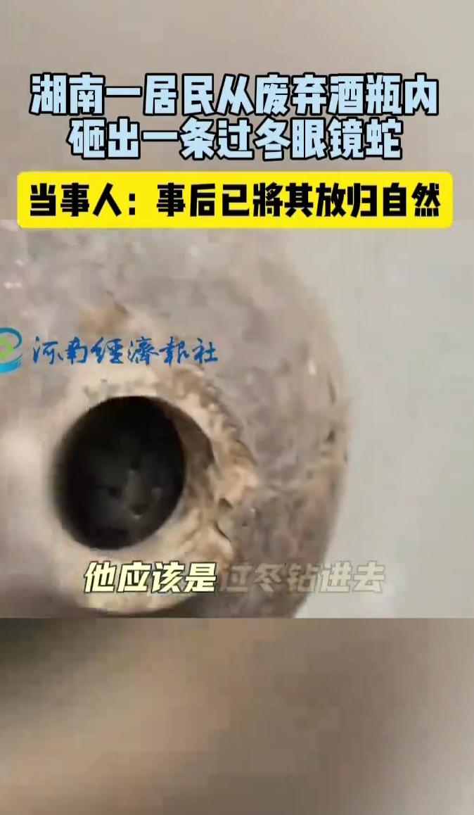 胆子真大！湖南一男子捡到个酒瓶，以为是古董，就踢了一脚！结果，发现瓶子里竟然有动