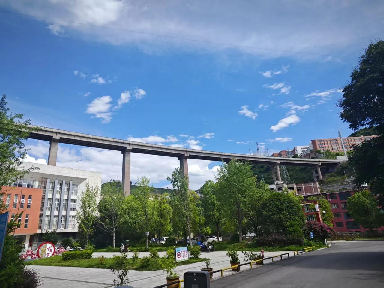 感谢禁酒令，它帮我戒了酒！
   以前，做成一单业务时，除了约朋友喝顿大酒，还要