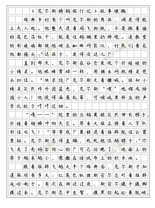 《骑鹅旅行记》故事梗概 优秀范文