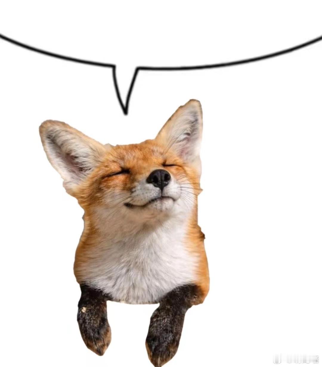 或许你也需要这个表情包 