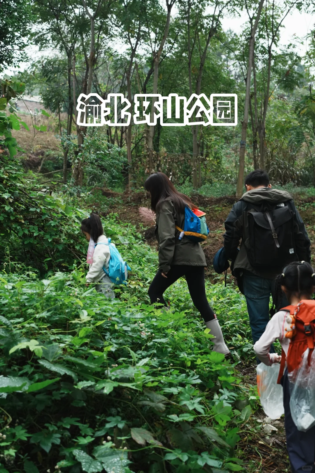 亲子徒步｜渝北环山公园6km初级路线