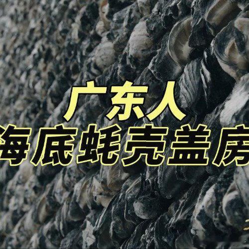 蚝壳砌的墙太震撼了蚝壳砌的墙千年不腐，太震撼了，再次感叹古人的智慧！