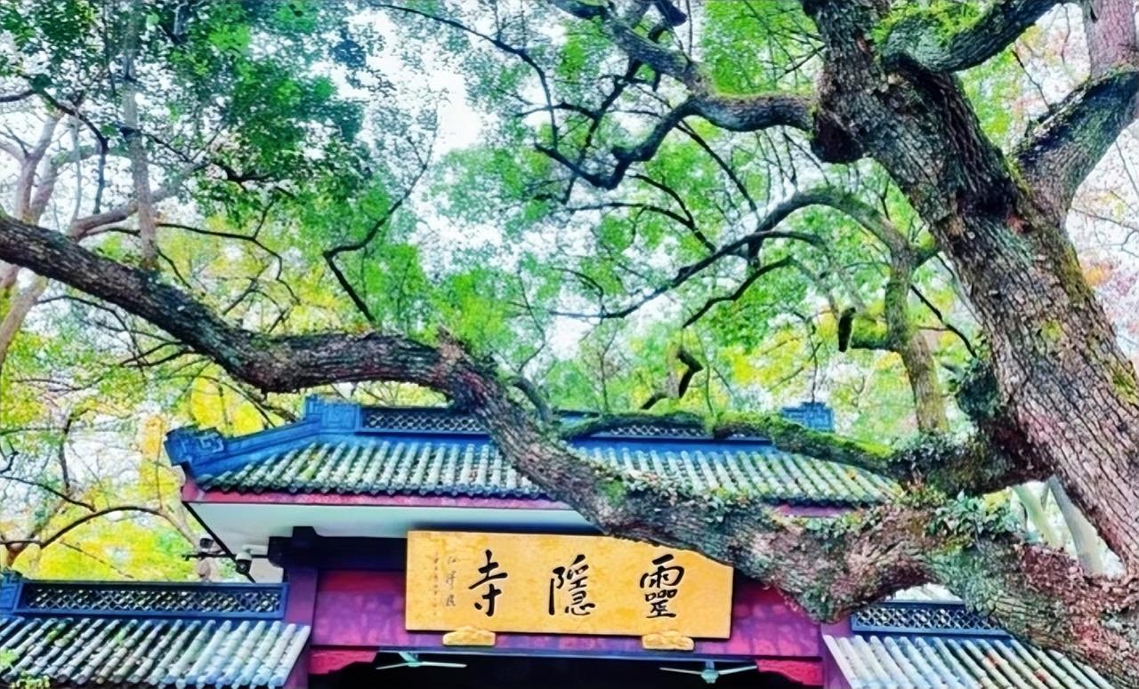 灵隐寺免门票刷屏！
杭州灵隐寺免75元门票引热议，它1700年来魅力不减：有吴越
