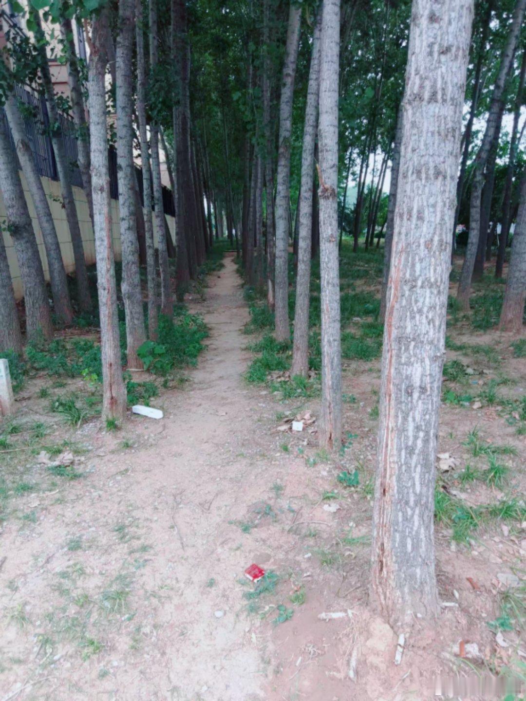 42岁的网友，失业的第7天。每天骑电动车不知该去哪？每天在附近的小树林呆一上午，