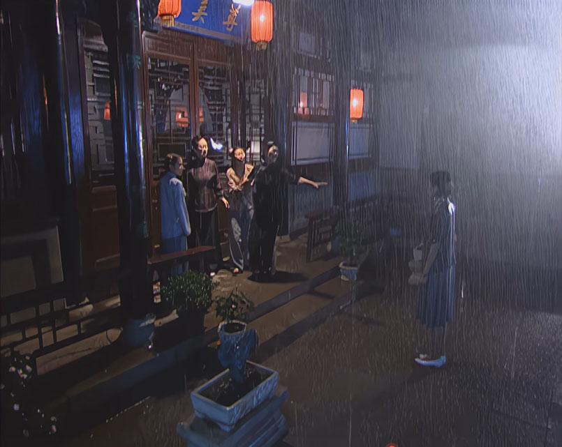 这画面太假了吧，林佳尼为了等柳春江出来，硬生生在门外淋雨，母亲要拉她走，丫鬟竟然