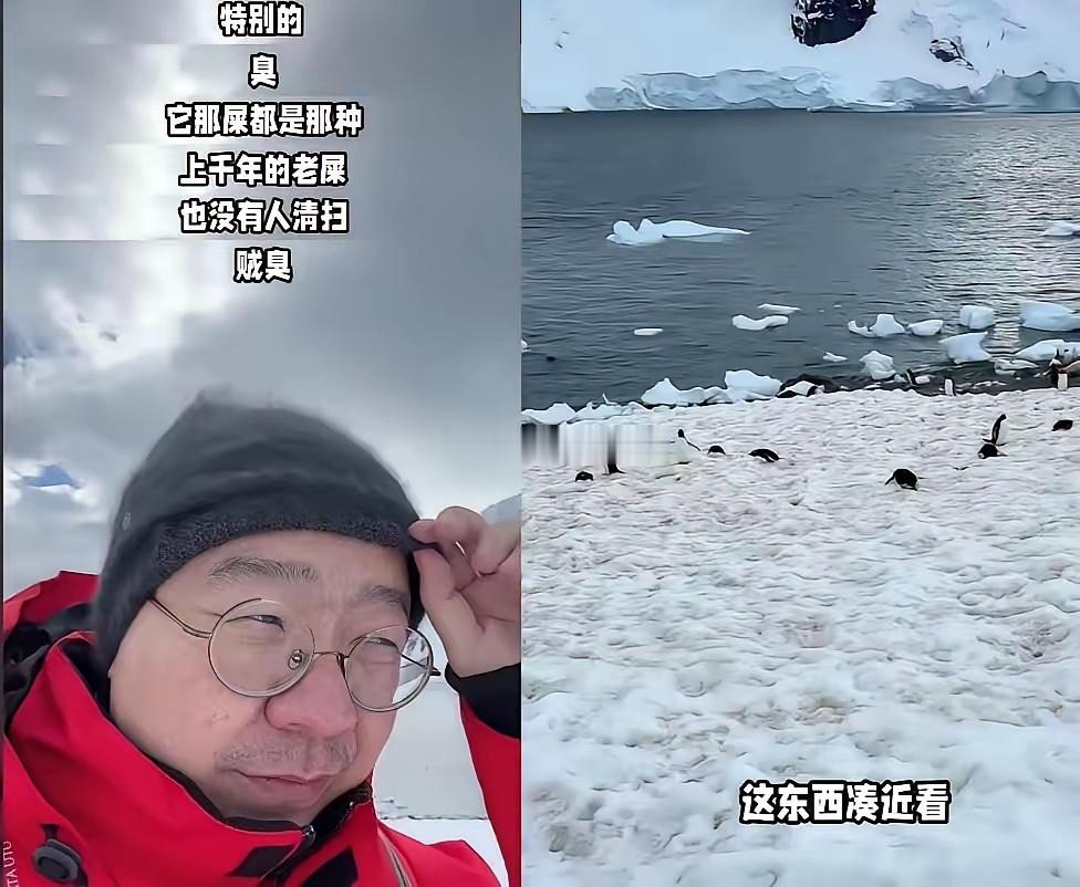 他俩到底谁是那个骗子？俞敏洪去了趟南极，说南极美如画，一派诗情画意的景象，吃着高