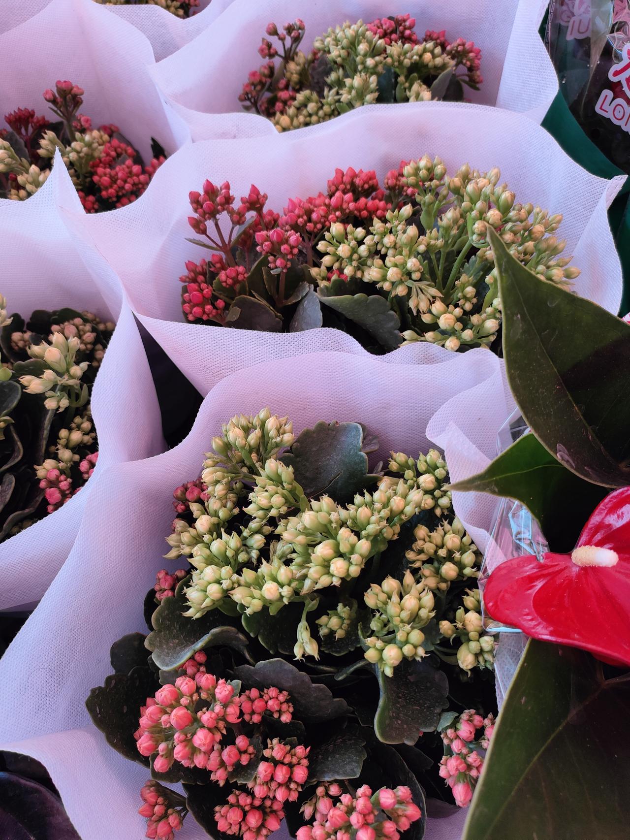 退休后最大的糊涂：把钱看得比命重，把家务看得比健康重！
 
人一退休，卸下了工作