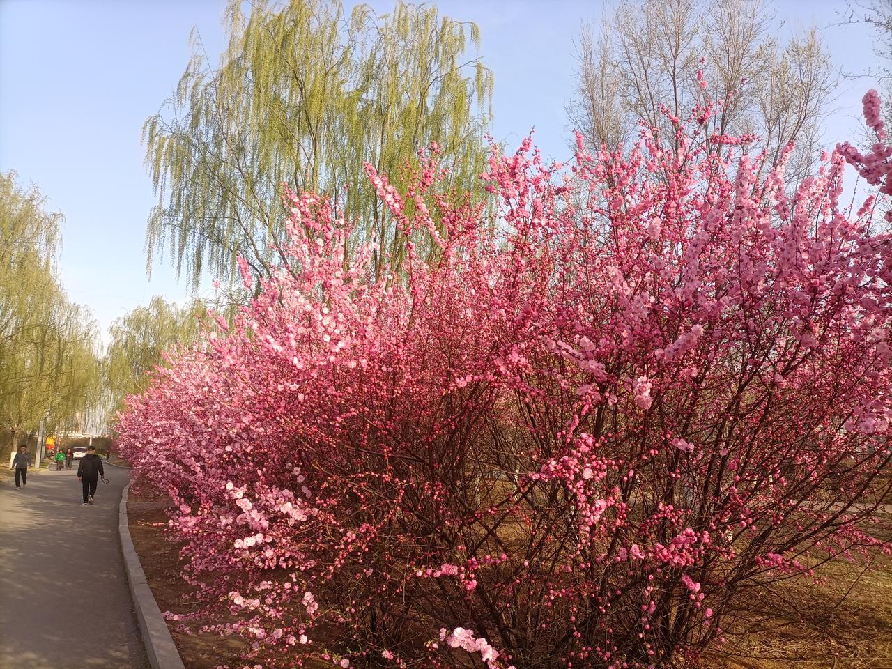 在我人生低谷，最痛苦的时候，不是亲情，友情或者爱情救了我。
拯救我的，是哲学、心