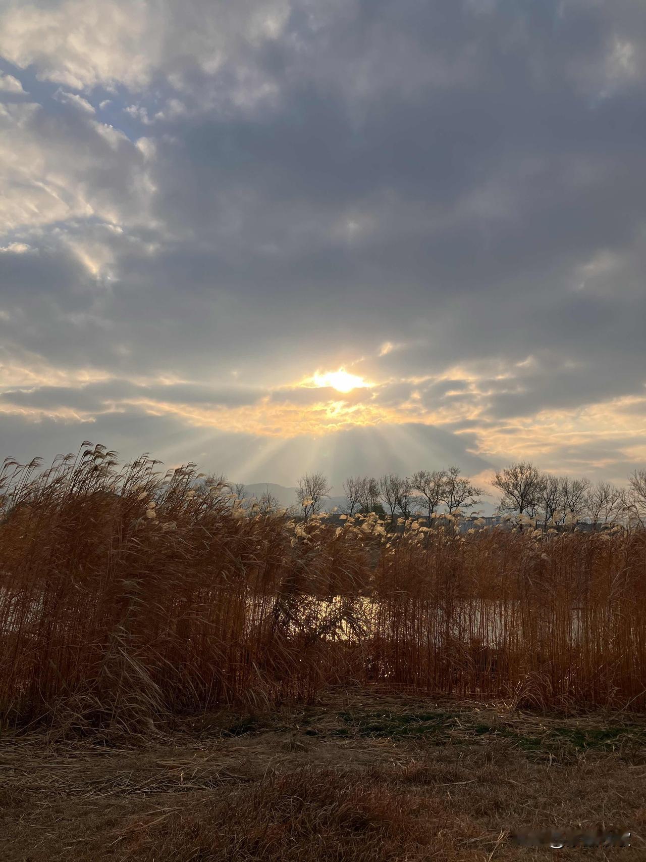 分享手机里随手拍的风景相片