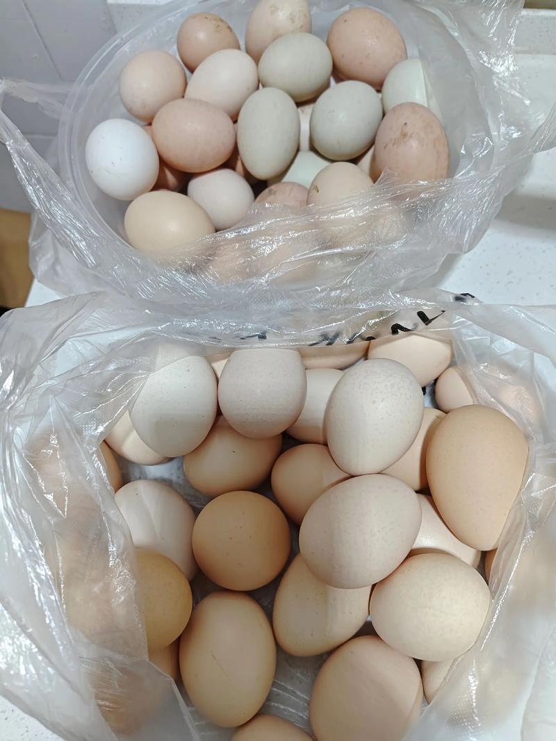 婆婆今天来家里，拿了好多土鸡蛋过来，说是乡下亲戚送来的，拿点过来让我们尝尝。
婆