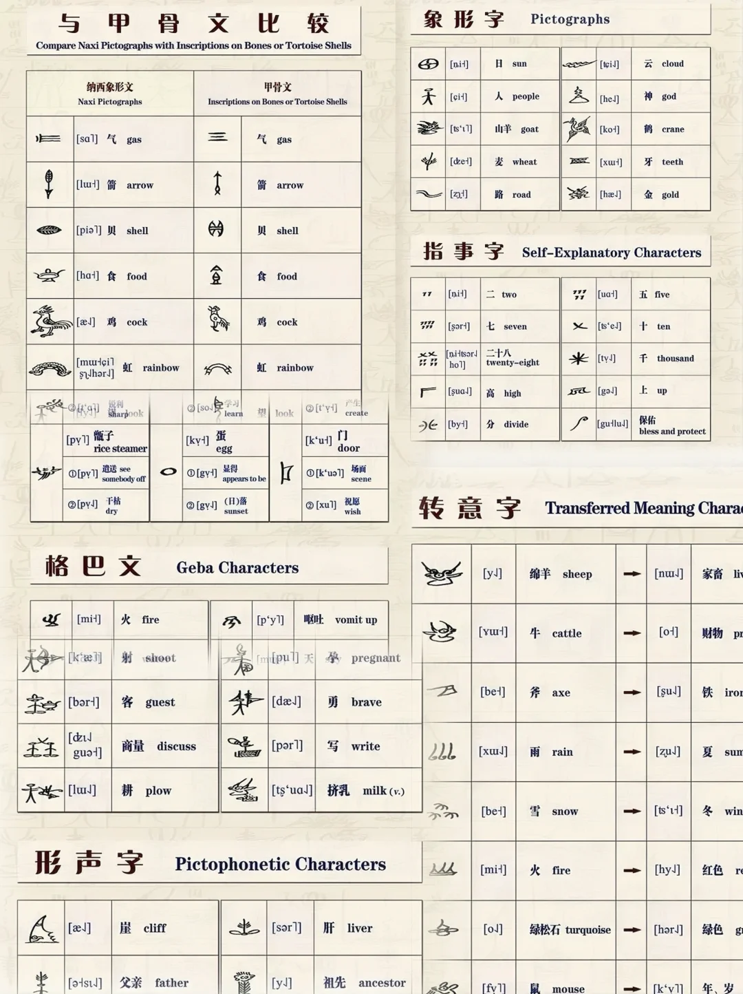 纳西象形文：人类文字史的活化石📜
