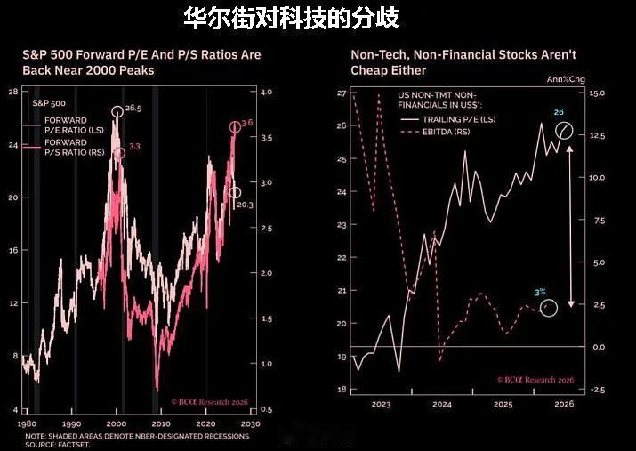 近期华尔街对于AI又进行了一场激辩，相比于之前市场一致乐观不同，这一次有了明确的