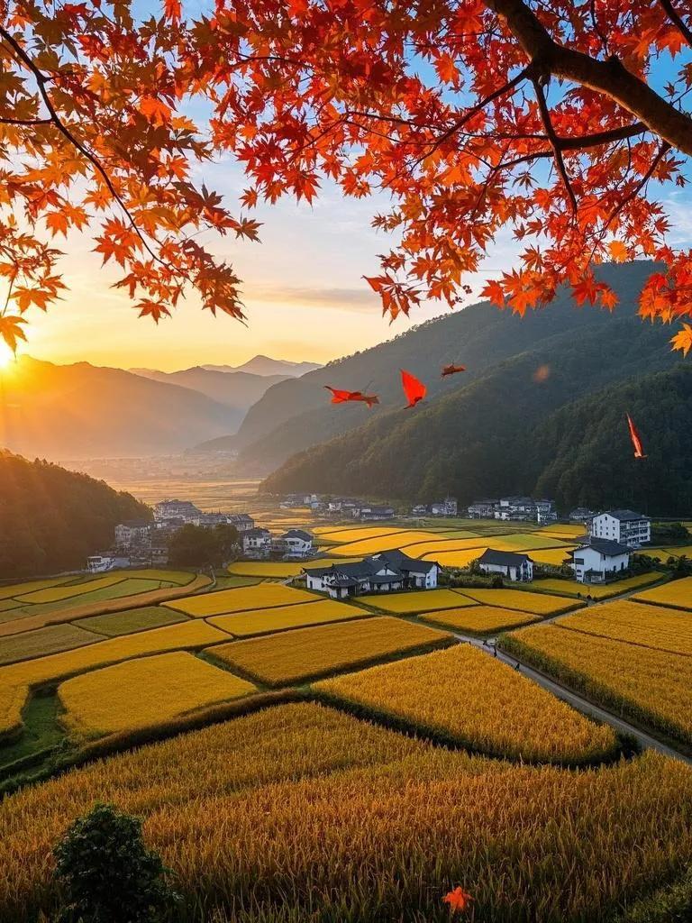 夕阳下枫红稻黄，落叶翩跹，如诗晚霞映丰收，那是成熟与华美的时光礼赞。一张图描写秋
