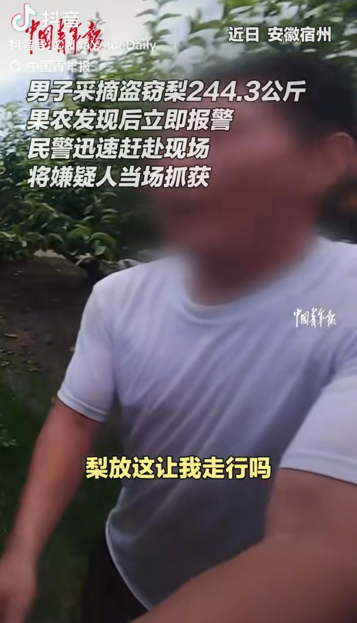 不在自己村偷，是怕被邻居发现。合着他心里什么都明白，知道这事丢人，知道被人看见脸