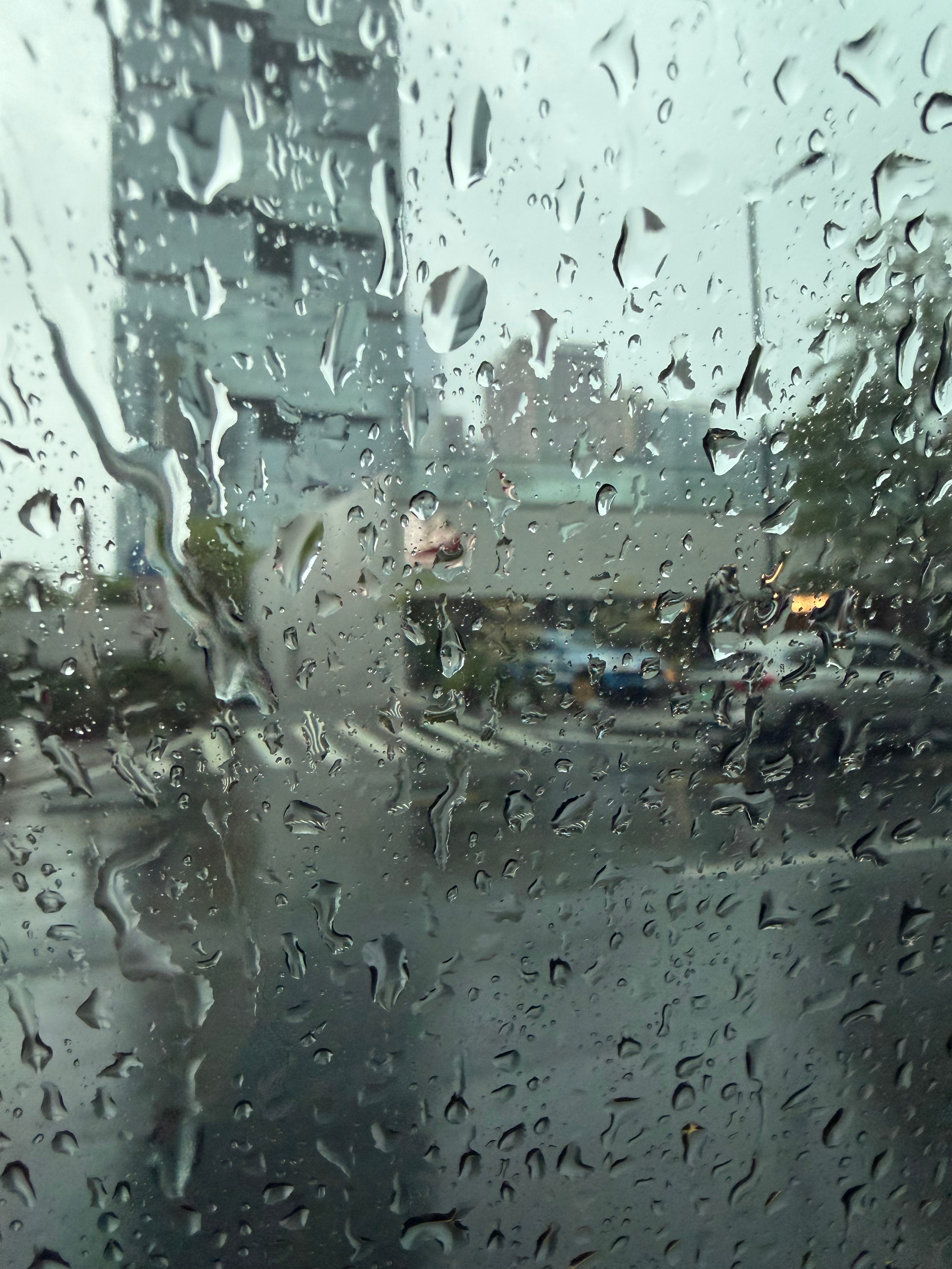 深圳每年很准时进入龙舟雨季节，咔咔往下倒水，我现在有点担心，有个博主昨天就是因为