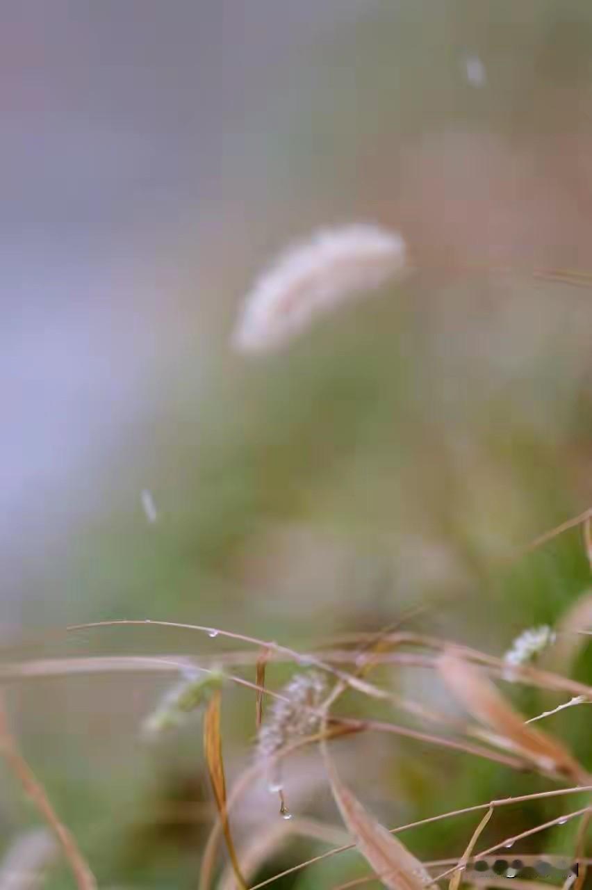 请相信一定有某种力量在坚定不移的护佑着你

当一个人好运来临之前，时势的发展变化
