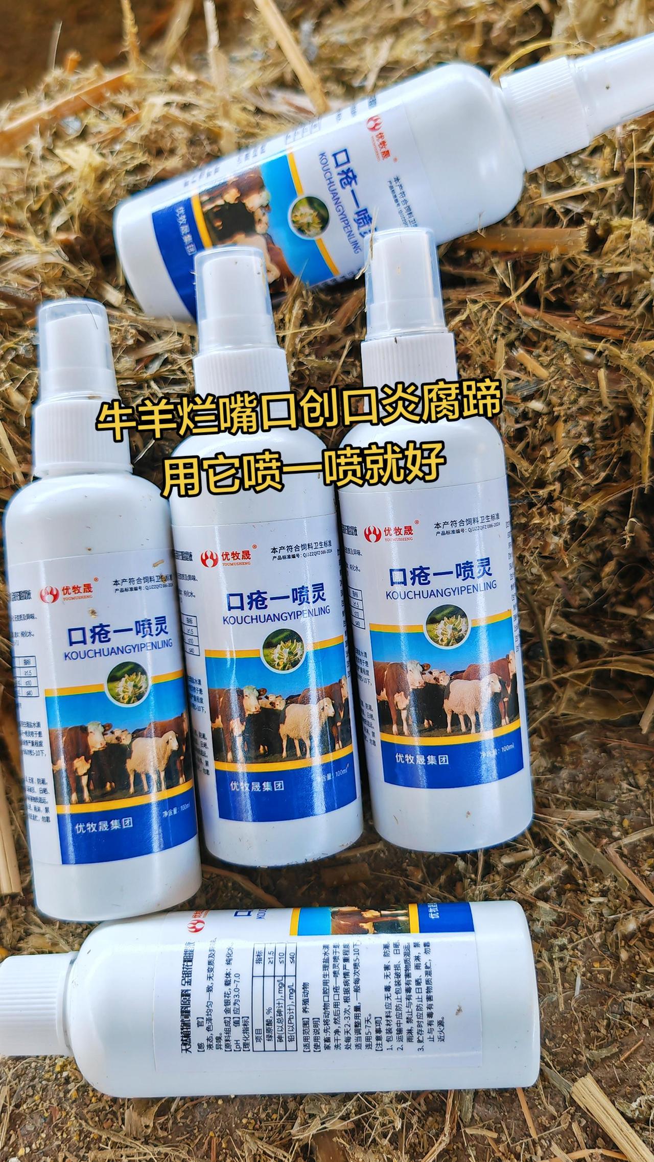 养羊人 农村养羊 牛羊养殖