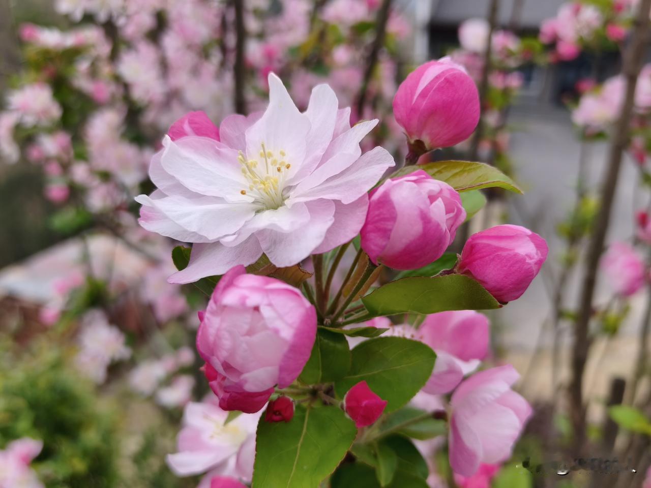 心态对了，人生就顺了。保持好心态，做事有分寸，才能更好地把握自己的人生。
   