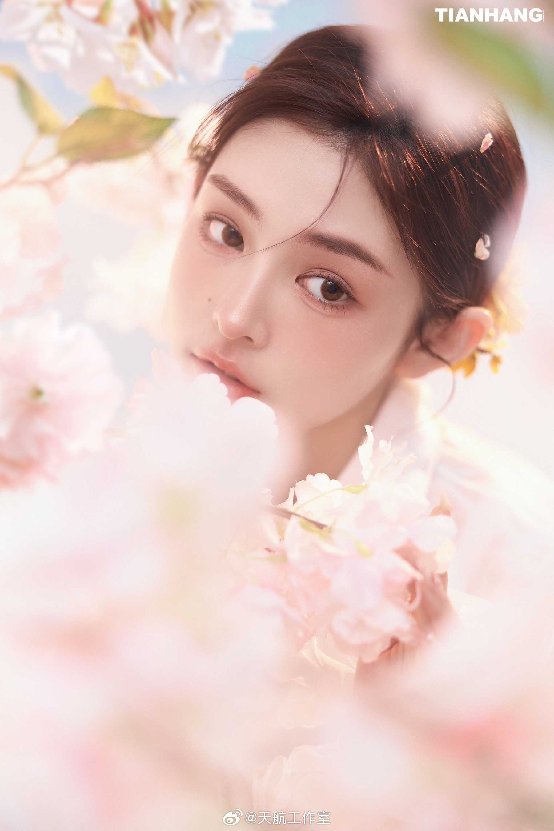 ✨棚拍分享🌬️风递来樱花的信我在春天里 做了一场温柔的梦🌸天航工作室少女心早
