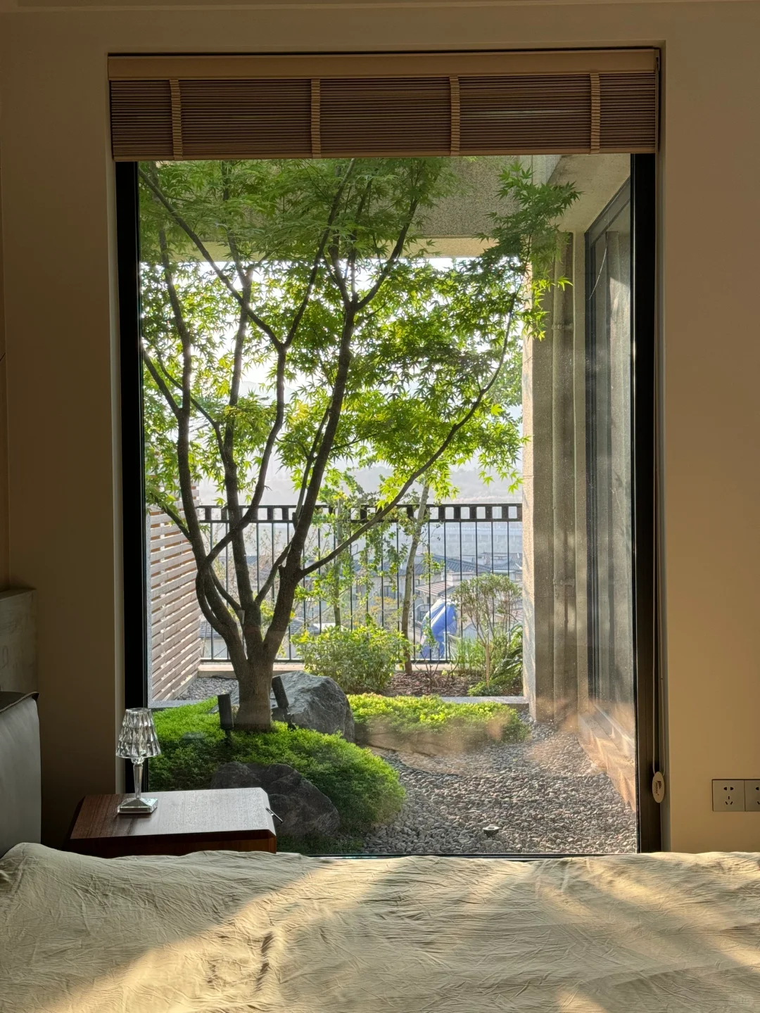 live｜这下相信我家是一楼了吧🏠