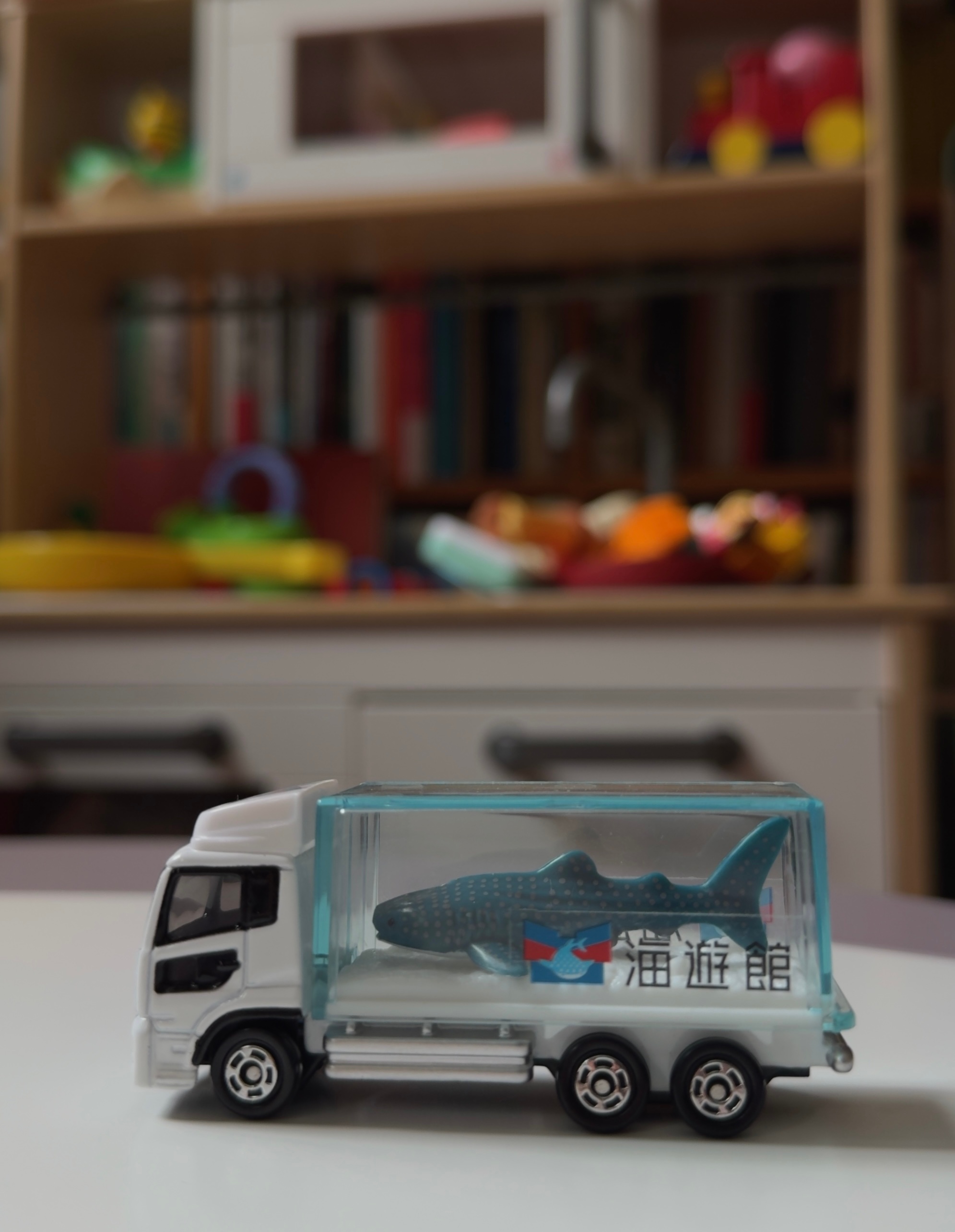 一辆水族馆运鲸车，让我重回多美卡深坑。 