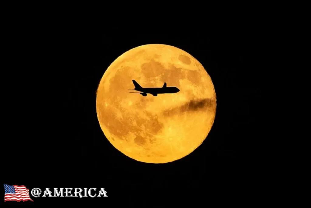 肯塔基州发生致命坠机事故后，UPS和联邦快递所有MD-11飞机停飞。

在肯塔基