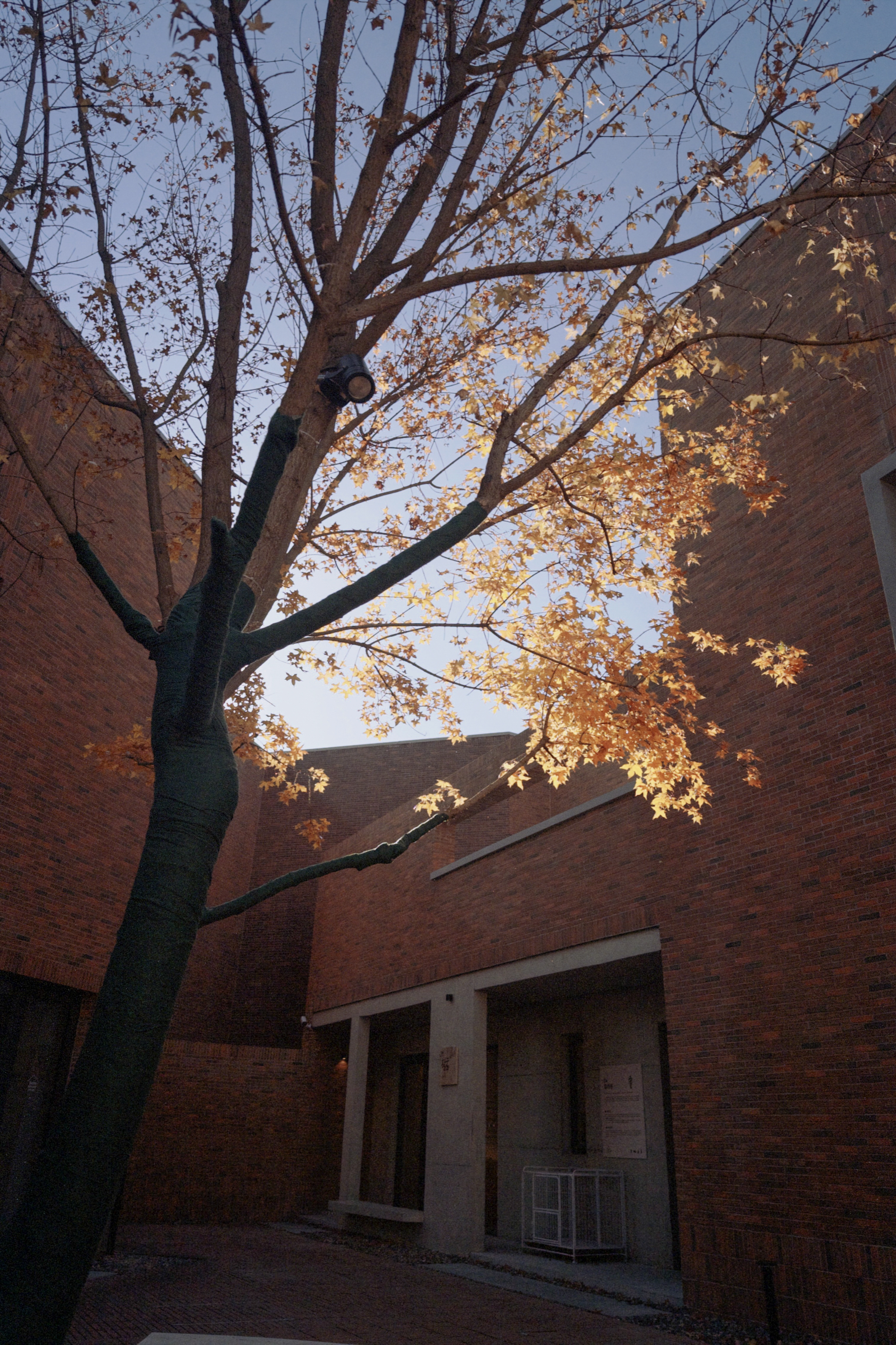 和断壁残垣一起枕山而眠 