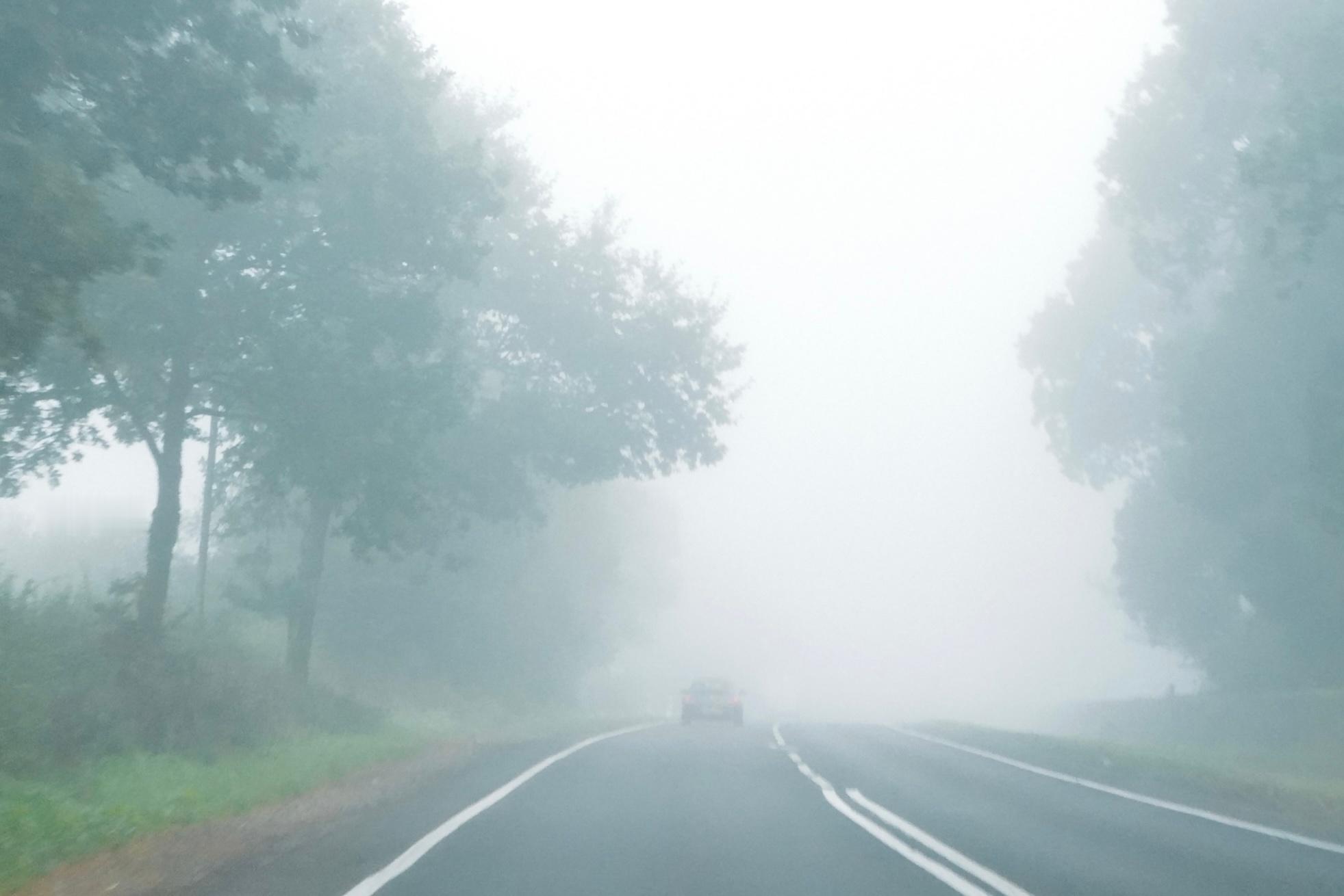 「出发，我亲爱的华生」 ​​​