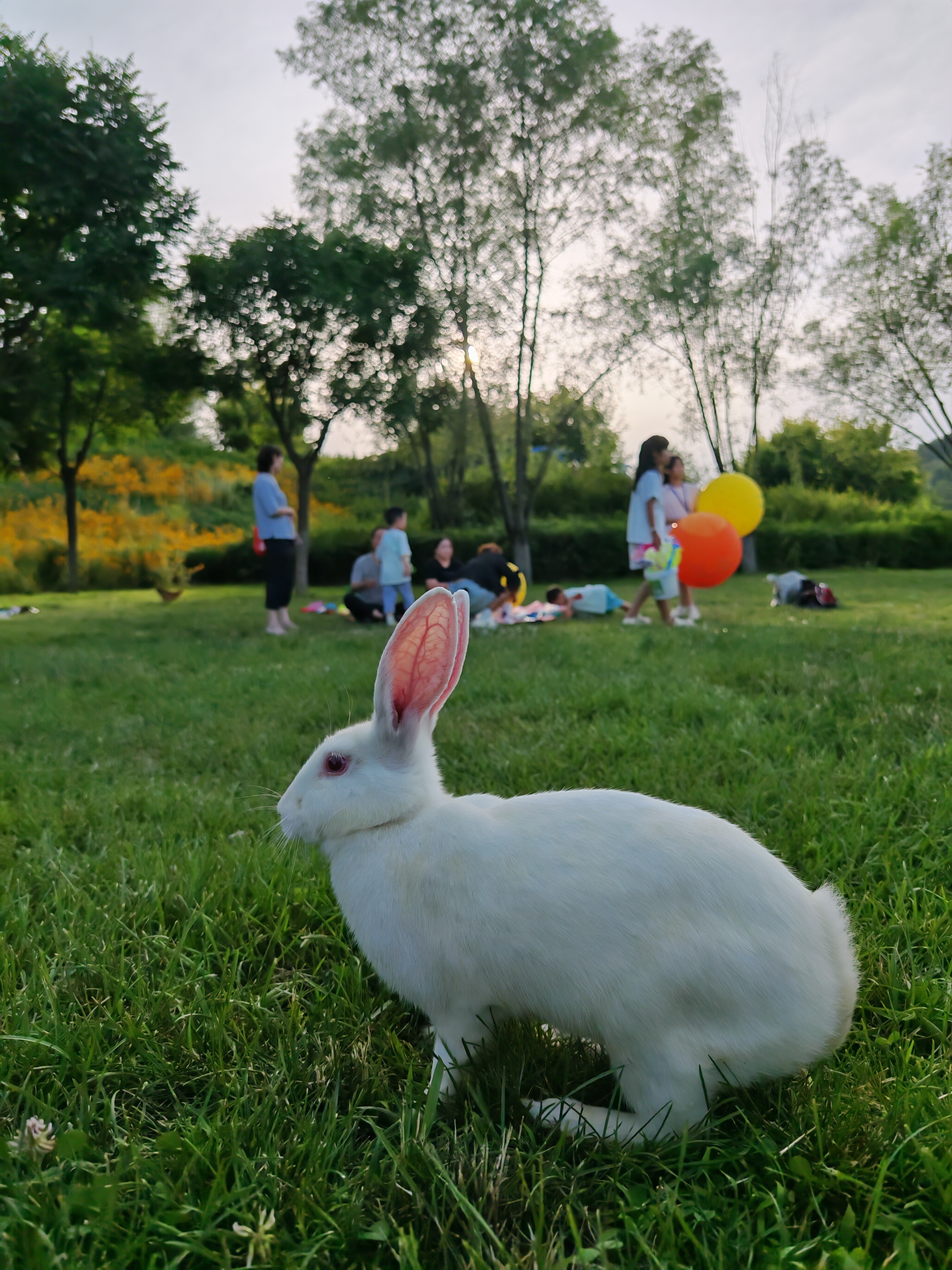 山气日夕佳，飞鸟相与还。 延安·南泥湾风景区