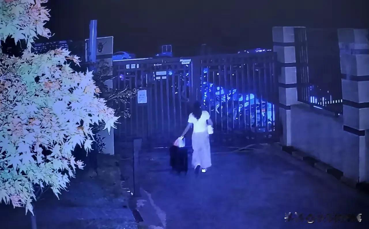 女儿拖着行李箱消失在晨雾里，我才懂：父母的疼，从来藏在孩子看不见的地方
 
天刚