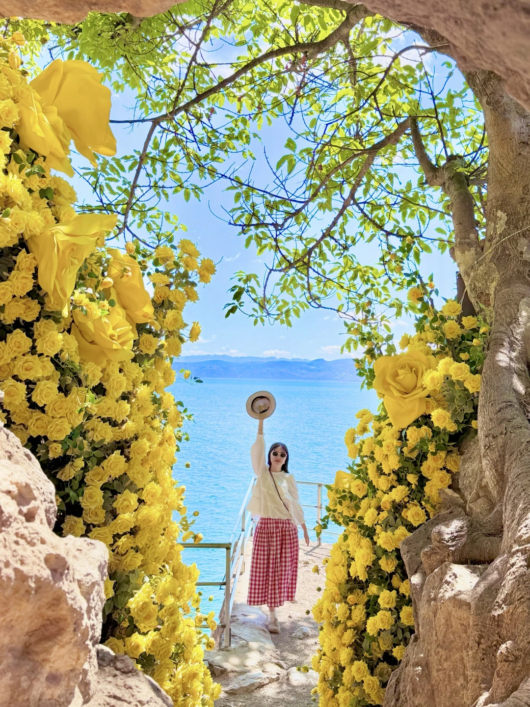 （live）不愧是春城，云南春天强的没有对手🌸