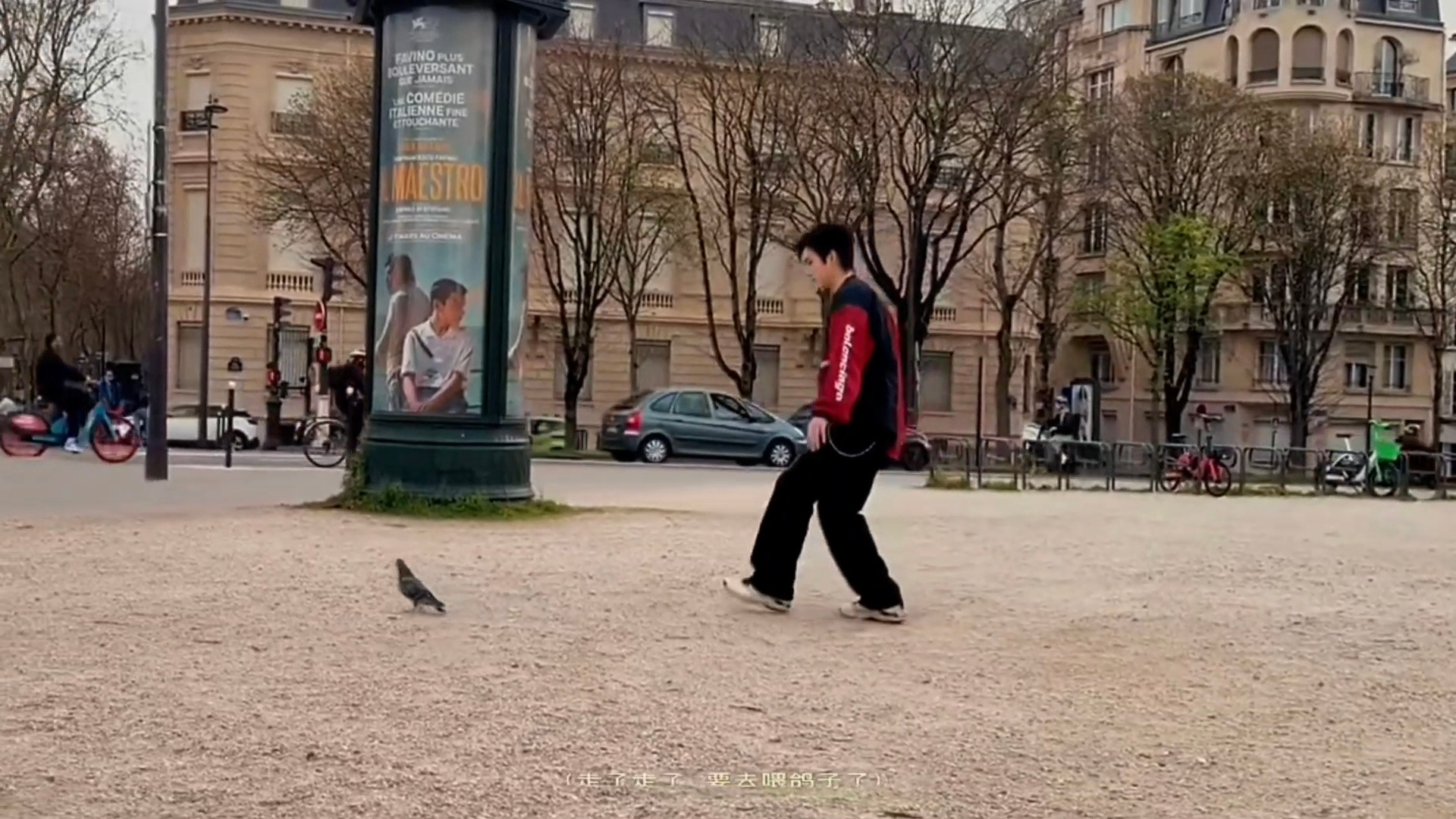 飞宇追鸽子or鸽子溜飞宇，不讲不讲后面还对着鸽子打了套拳哈哈哈哈哈哈陈飞宇被鸽子