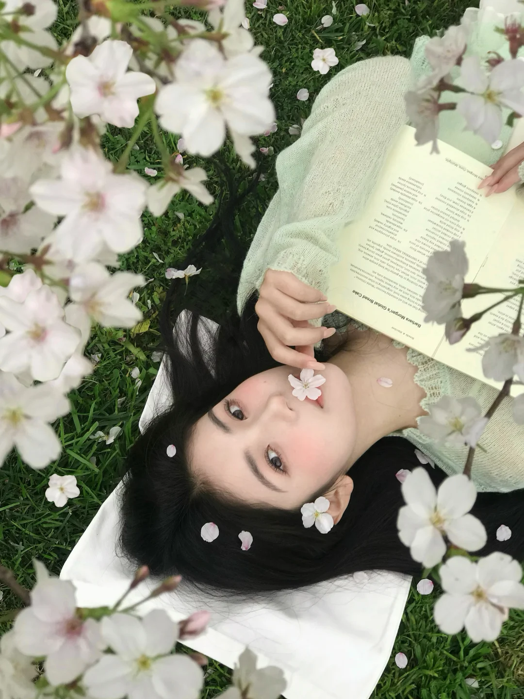 阴天的樱花树下