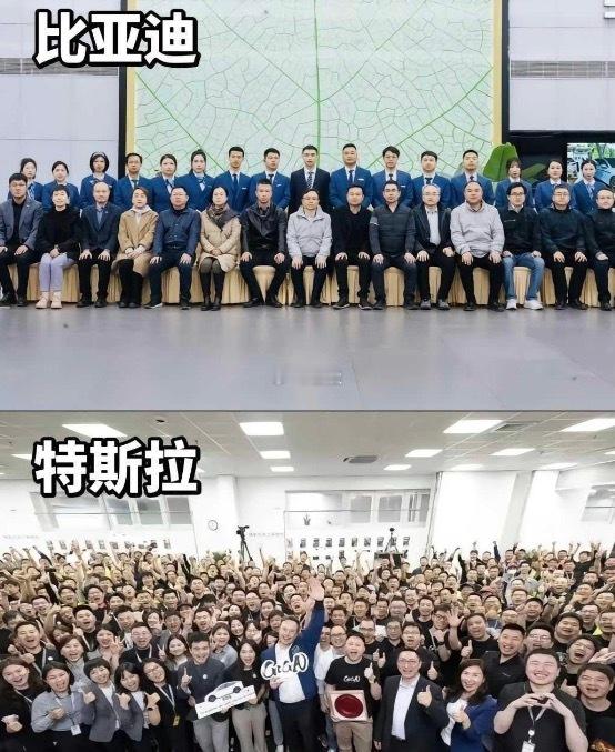 中美文化差异 