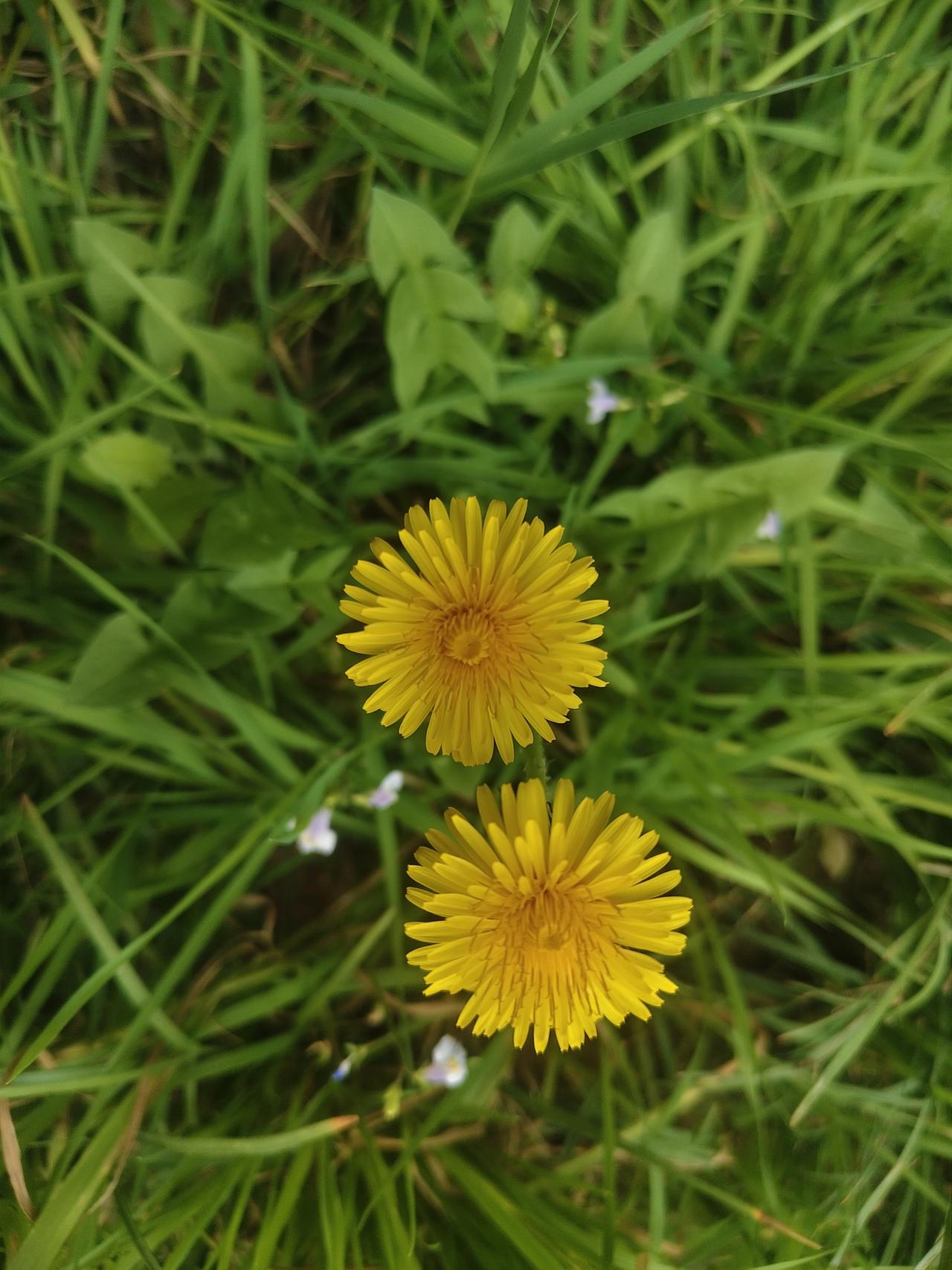 今年春天最想实现的心愿 今年春天，我最想实现的心愿还挺多。
首先希望家人安康，岁