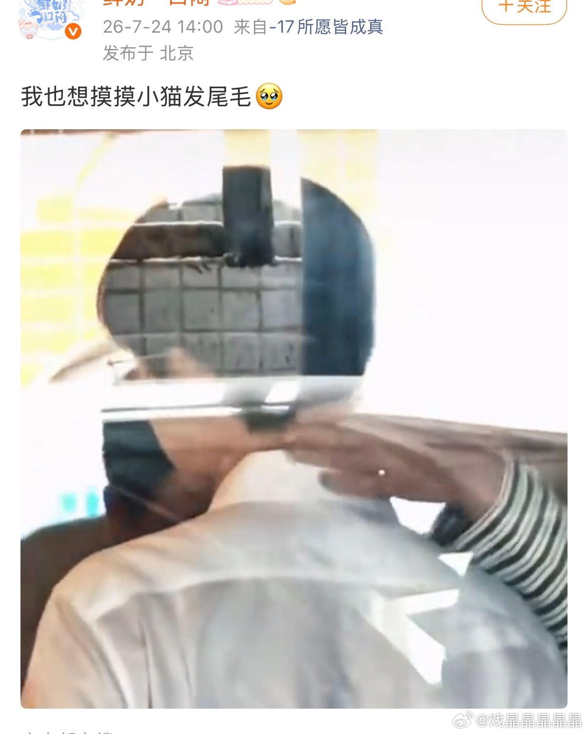假发翘起来了？ 