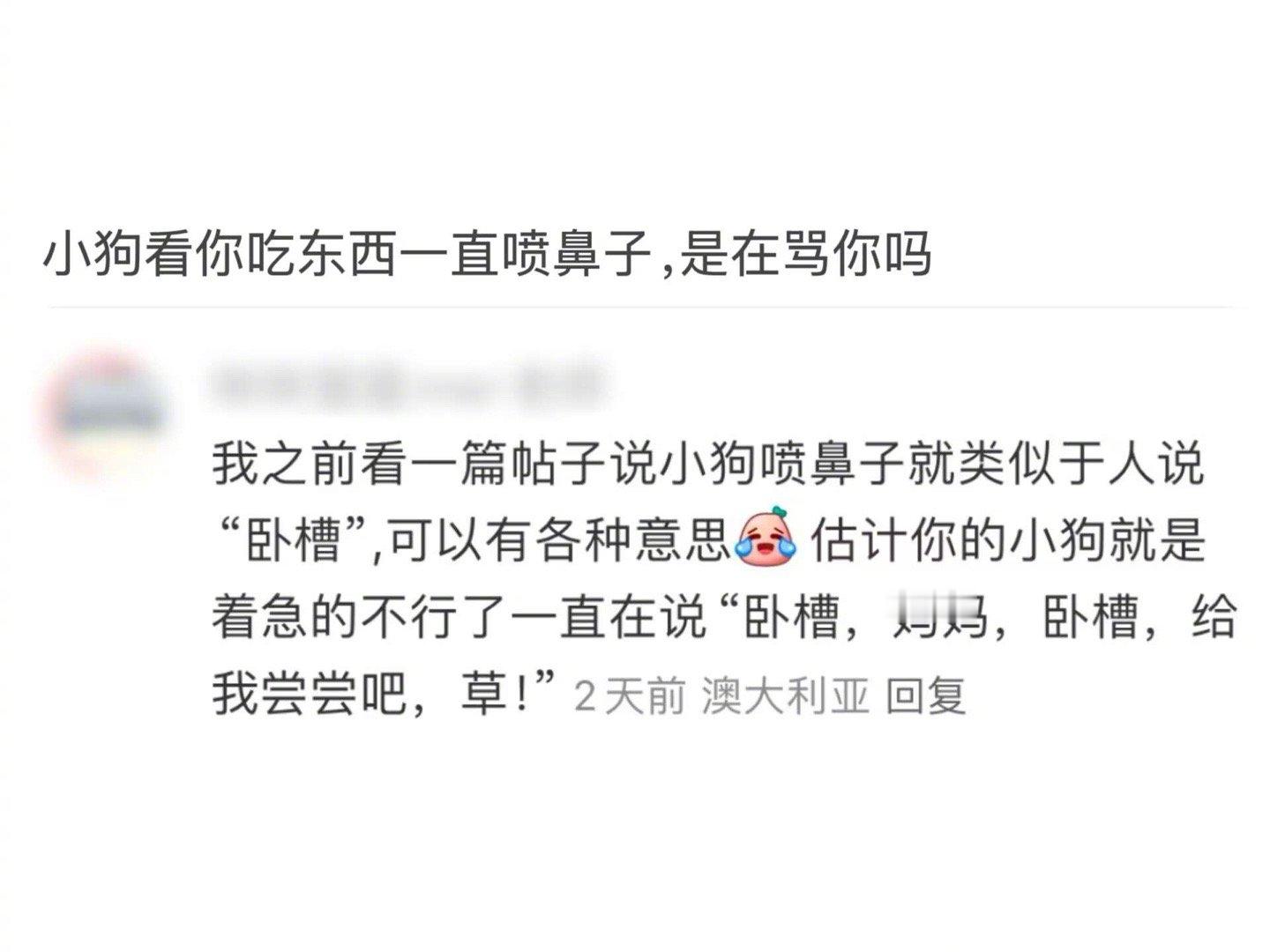 这么说来小狗喷鼻子也不算逆子，只是语气词不文明，素质不太高 