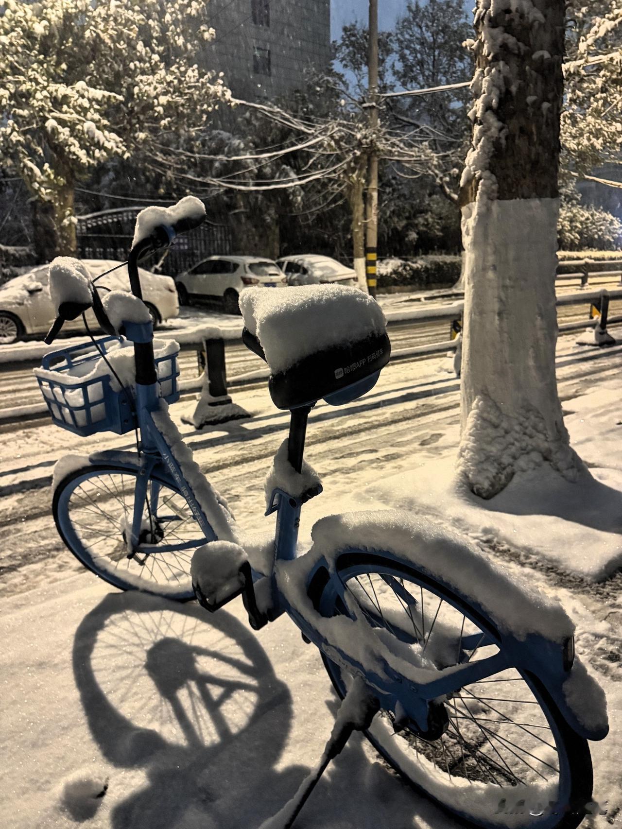 第一场雪也是来了，但就是形容不出雪下的多大，直到这里，给了我完美诠释！